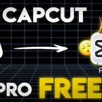 How To Use CapCut Pro Features For FREE On PC